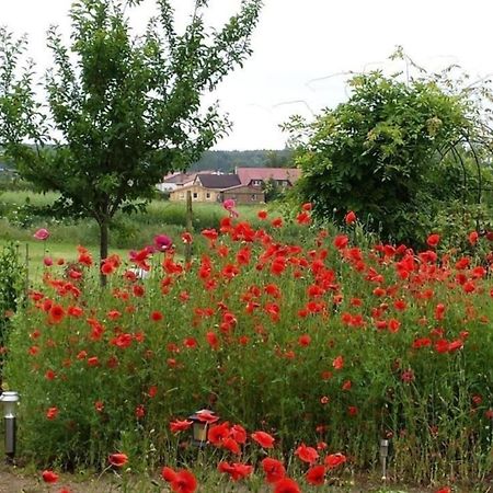 Ruhige Fewo Im Gruenen Mit Balkon, Terrasse Und Grossem Garten Apartment Sehlen ภายนอก รูปภาพ