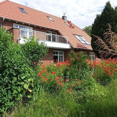 Ruhige Fewo Im Gruenen Mit Balkon, Terrasse Und Grossem Garten Apartment Sehlen ภายนอก รูปภาพ