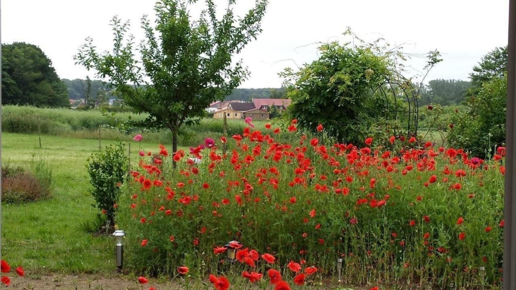 Ruhige Fewo Im Gruenen Mit Balkon, Terrasse Und Grossem Garten Apartment Sehlen ภายนอก รูปภาพ